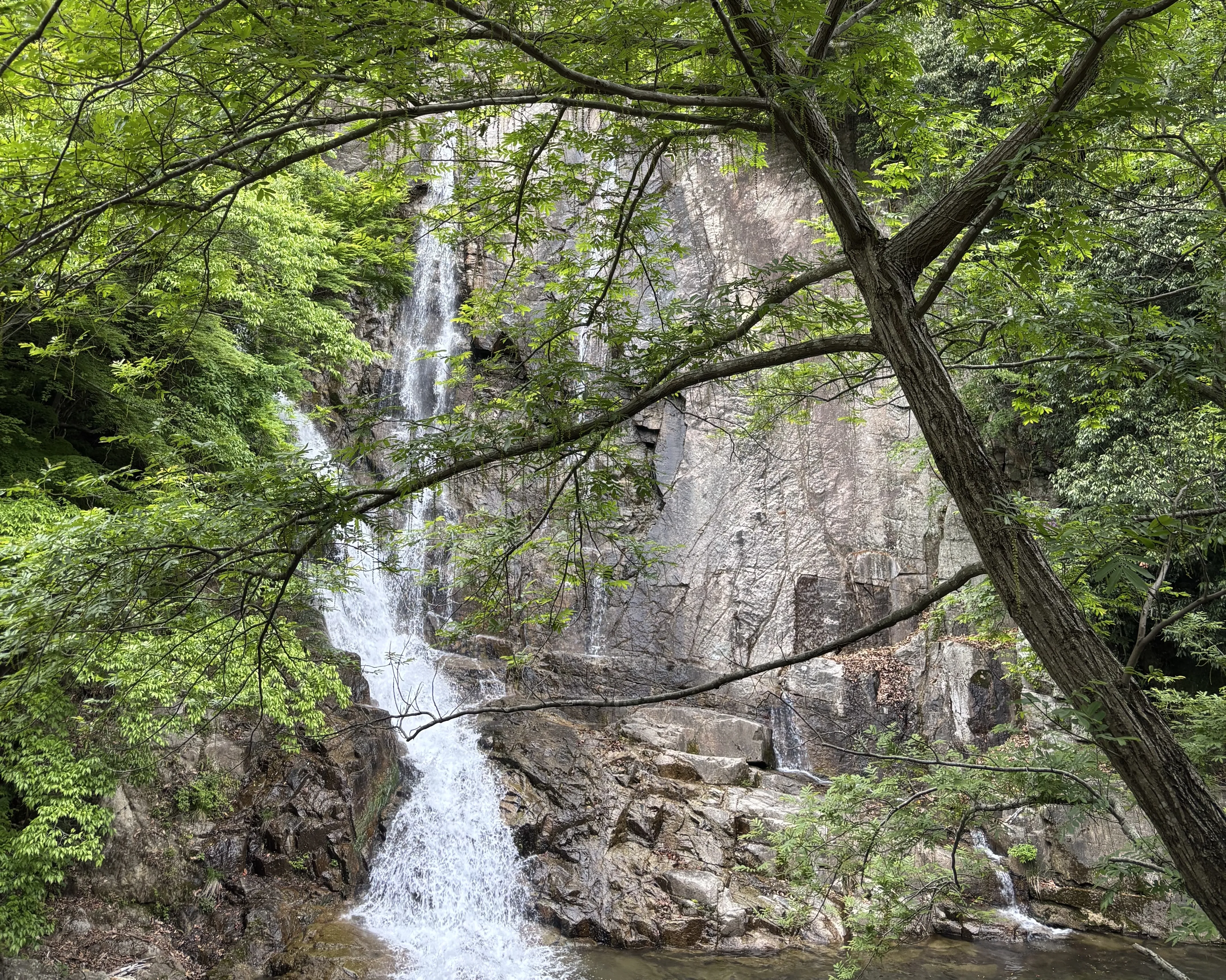 Cover Image of the Post